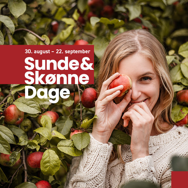 Sunde Skønne Dage